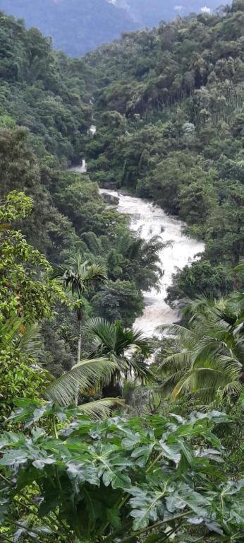 Linn View Home Stay Munnar Extérieur photo